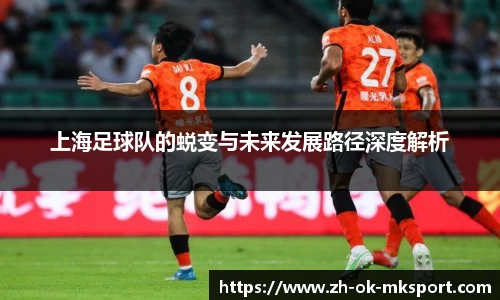 上海足球队的蜕变与未来发展路径深度解析