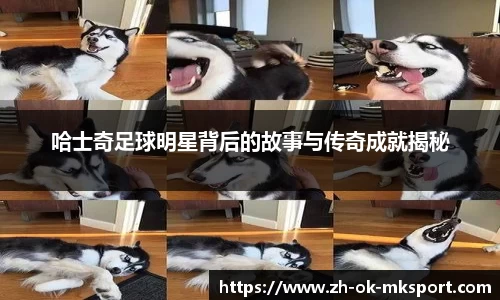 哈士奇足球明星背后的故事与传奇成就揭秘
